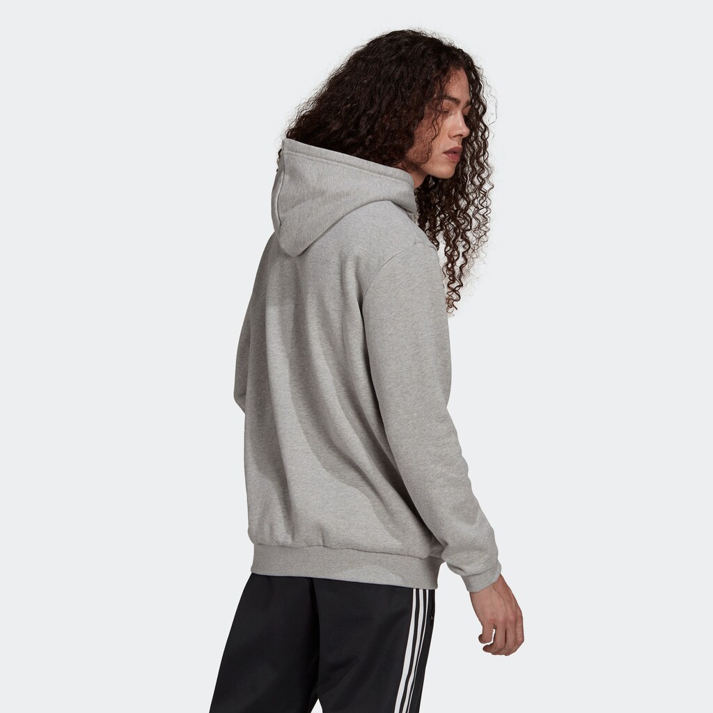 adidas Originals Kapuzensweatshirt »ADICOLOR CLASSICS TREFOIL HOODIE«