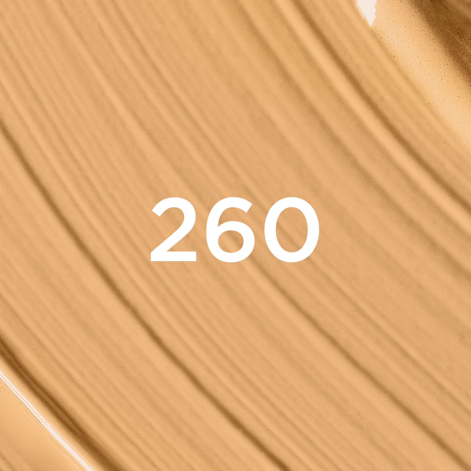 L'ORÉAL PARIS Foundation »L'Oréal Paris Infaillible Skin Ink Foundcealer 260 Medium Warm«