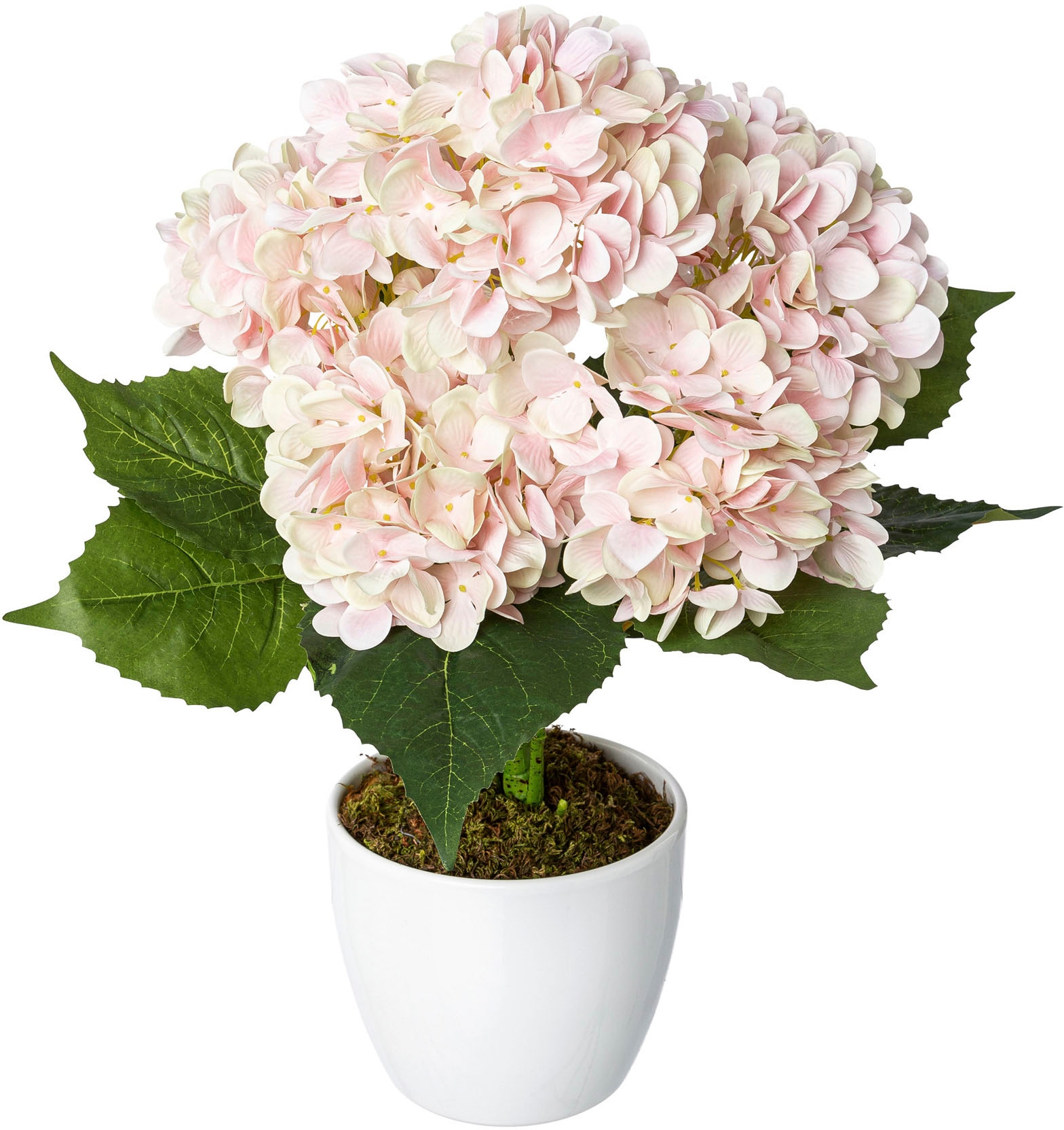 Creativ green Kunstpflanze »Hortensie« im Keramiktopf