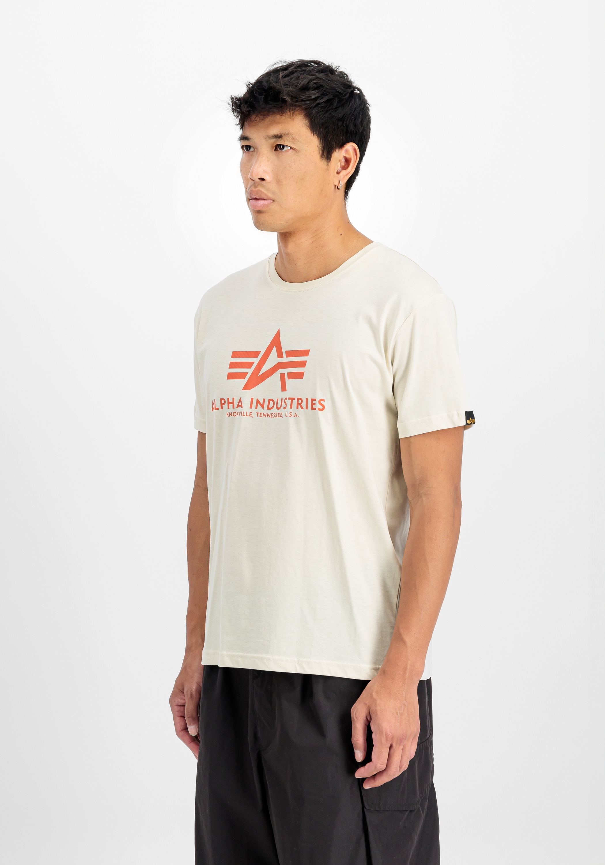 Alpha Industries T-Shirt »Basic T-Shirt BL Carbon«