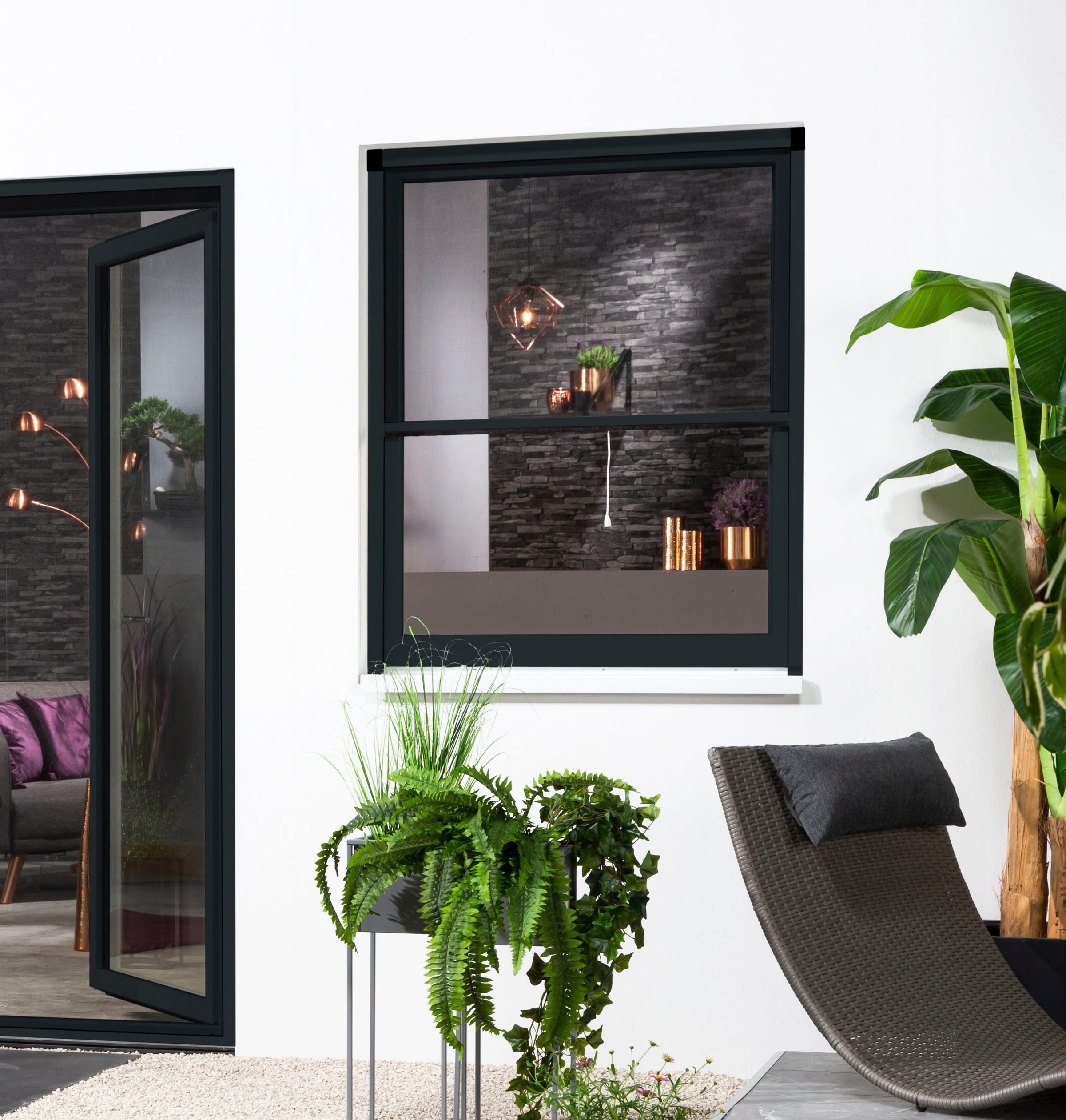 hecht international Insektenschutzrollo »SMART«, transparent, Insektenschutz, für Fenster, kürzbar