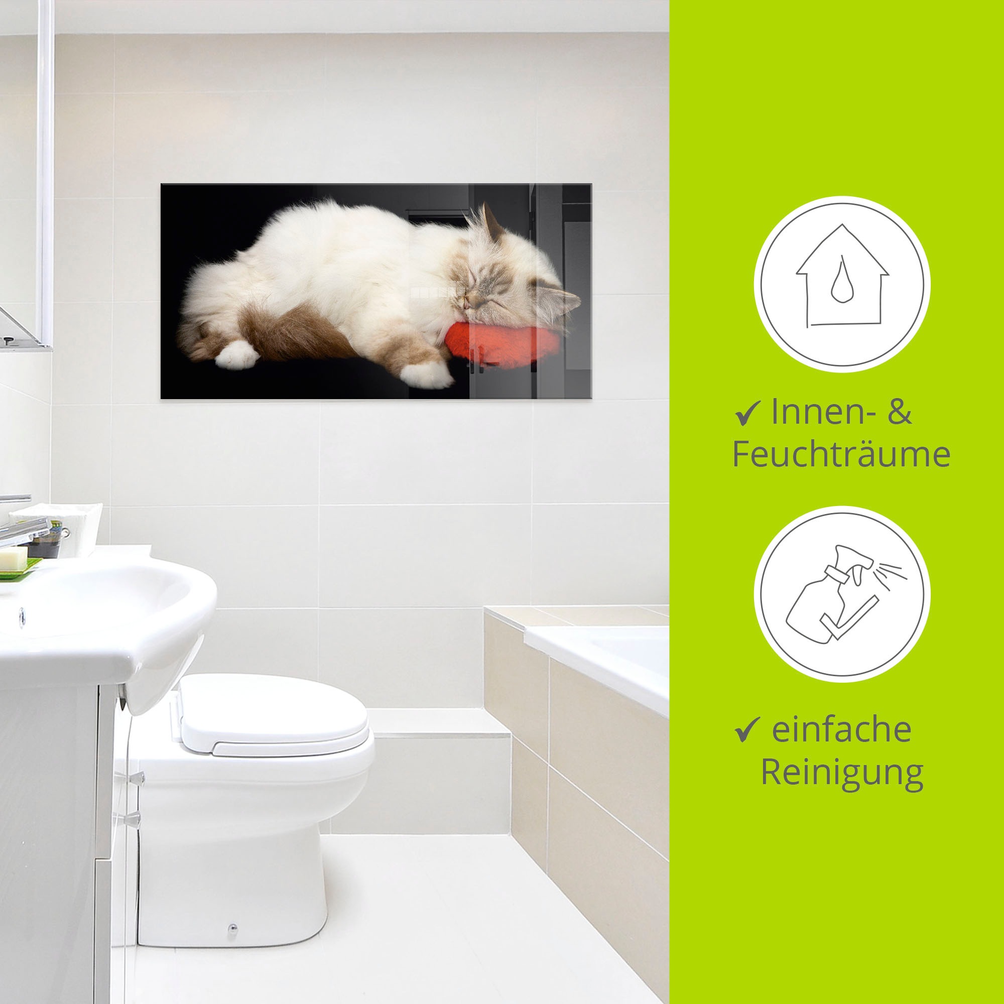 Artland Glasbild »Müde Katze«, Haustiere, (1 St.), in verschiedenen Größen