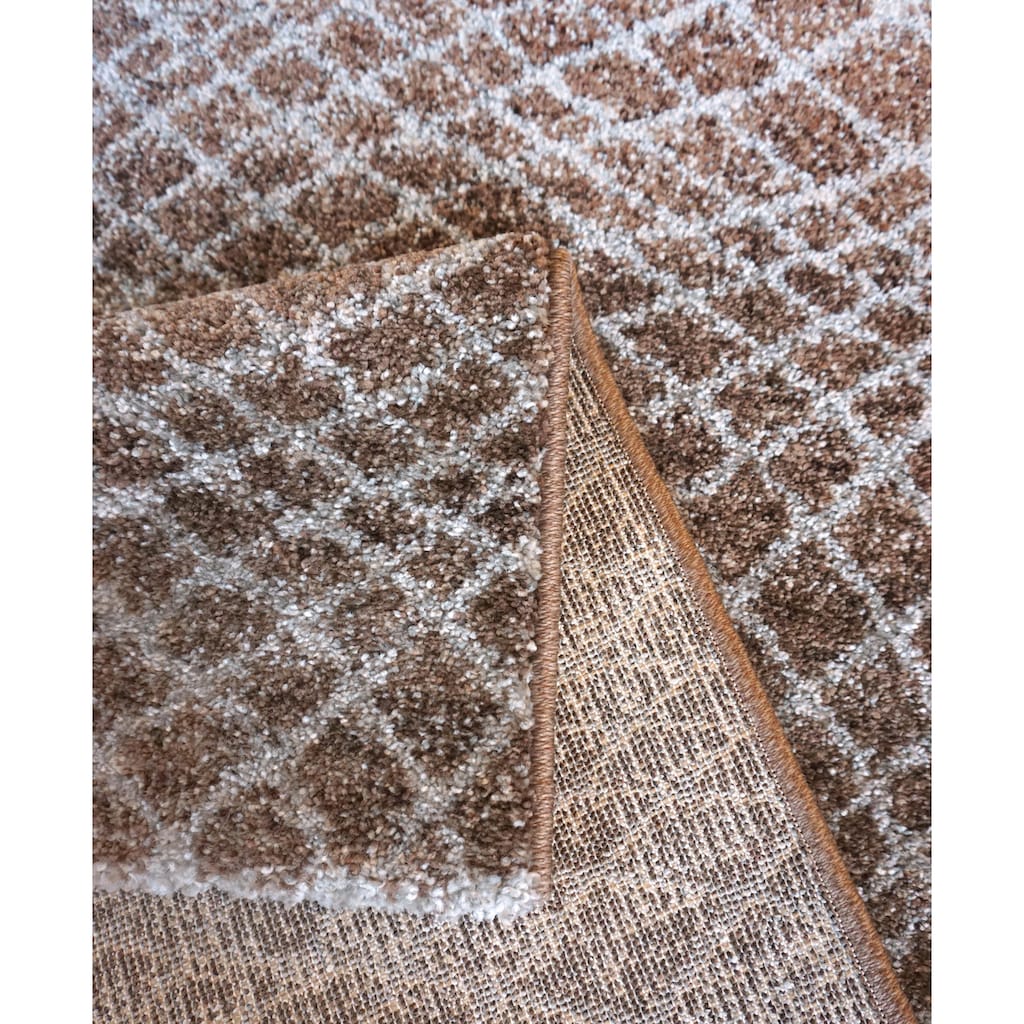 ASTRA Teppich »Carpi Gitter«, rechteckig
