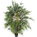 Schneider Kunstpflanze »Bambusbaum«, (2 St.)