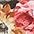 Rose beige