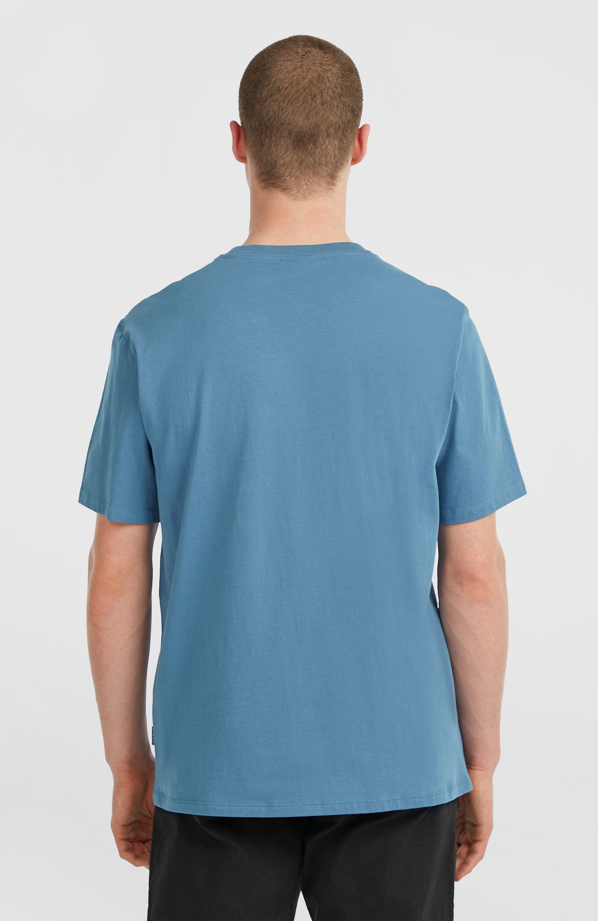 O'Neill T-Shirt »O'NEILL CHEST PRINT T-SHIRT«, (1 tlg.)