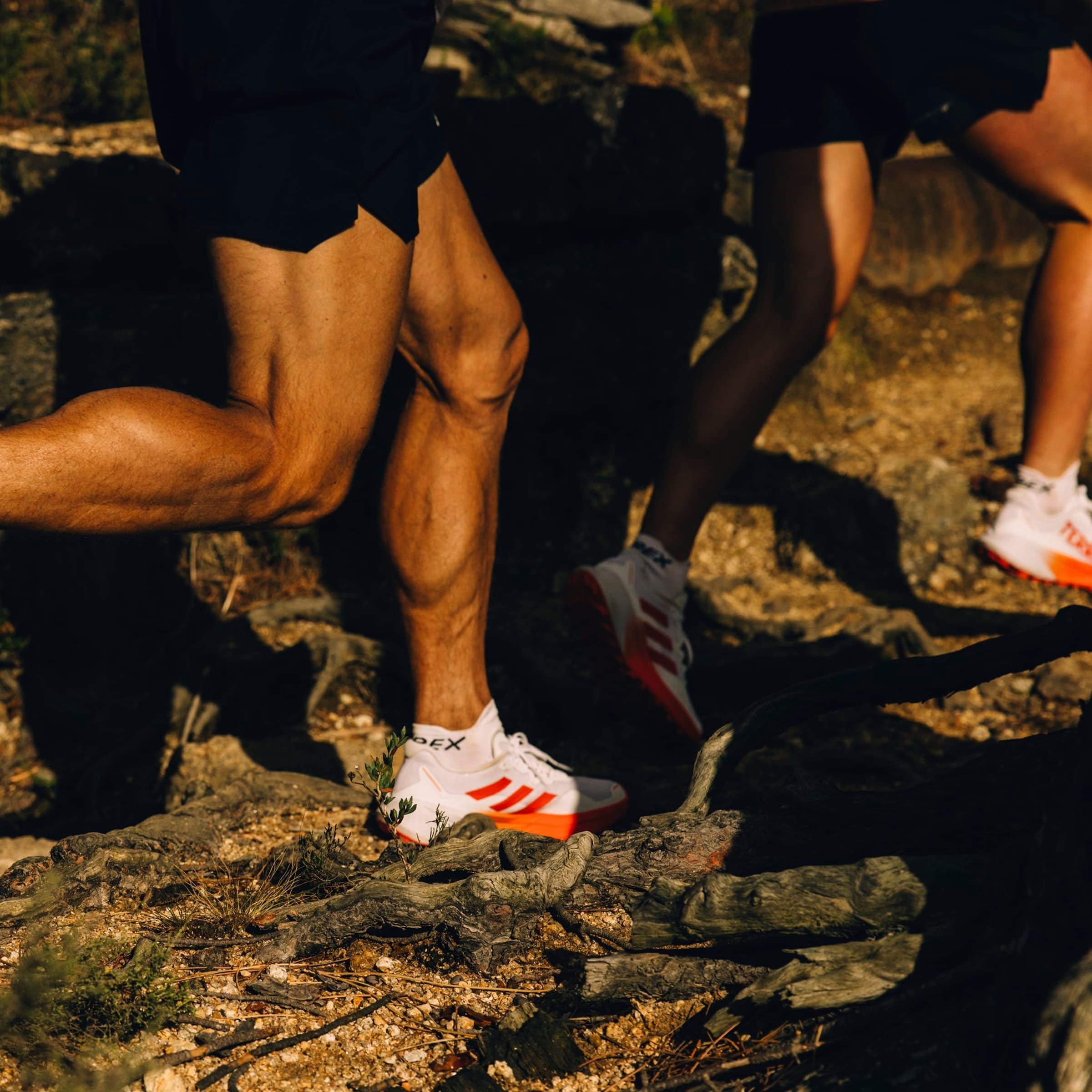 adidas TERREX Trailrunningschuh »TERREX AGRAVIC 3 TRAILRUNNING«, Trail-Runningschuhe
