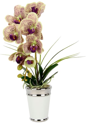 I.GE.A. Kunstblume »Orchidee«, im Topf, aus Keramik, Seidenblume Real Touch kaufen