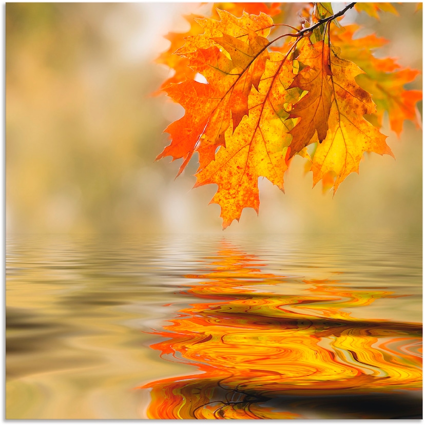 Artland Wandbild »Herbst am Sylvensteinsee«, Gewässer, (1 St.), als  Alubild, Leinwandbild, Wandaufkleber oder Poster in versch. Größen  bestellen im OTTO Online Shop