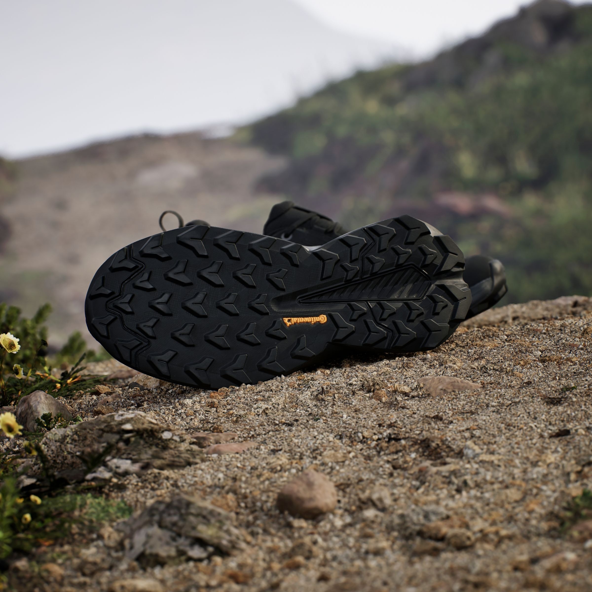 adidas TERREX Wanderschuh »TERREX TRAILMAKER 2.0 GORE-TEX«, wasserdicht