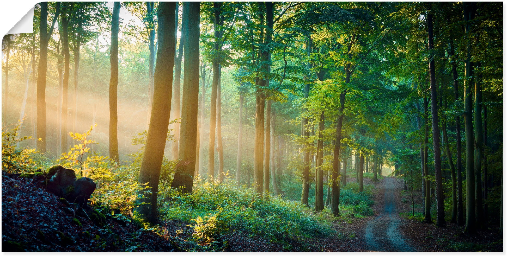 Artland Wandbild »Herbstmorgen im Wald«, Waldbilder, (1 St.), als Alubild,  Leinwandbild, Wandaufkleber oder Poster in versch. Größen online bei OTTO | Poster