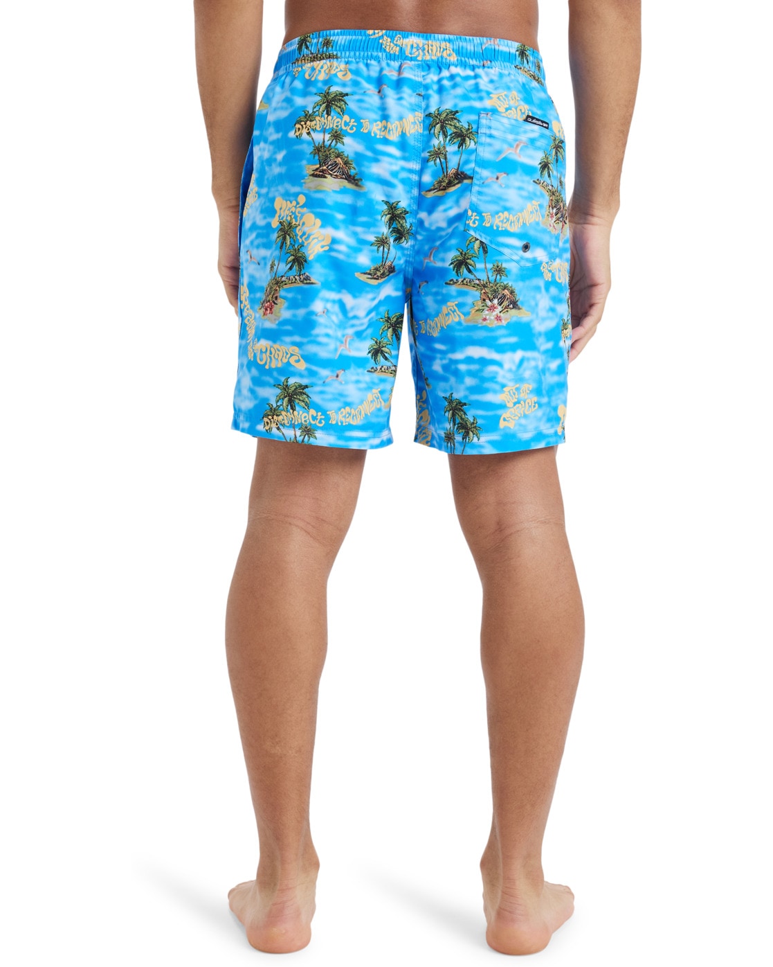 Quiksilver Boardshorts »Everyday Straight Volley 17"«