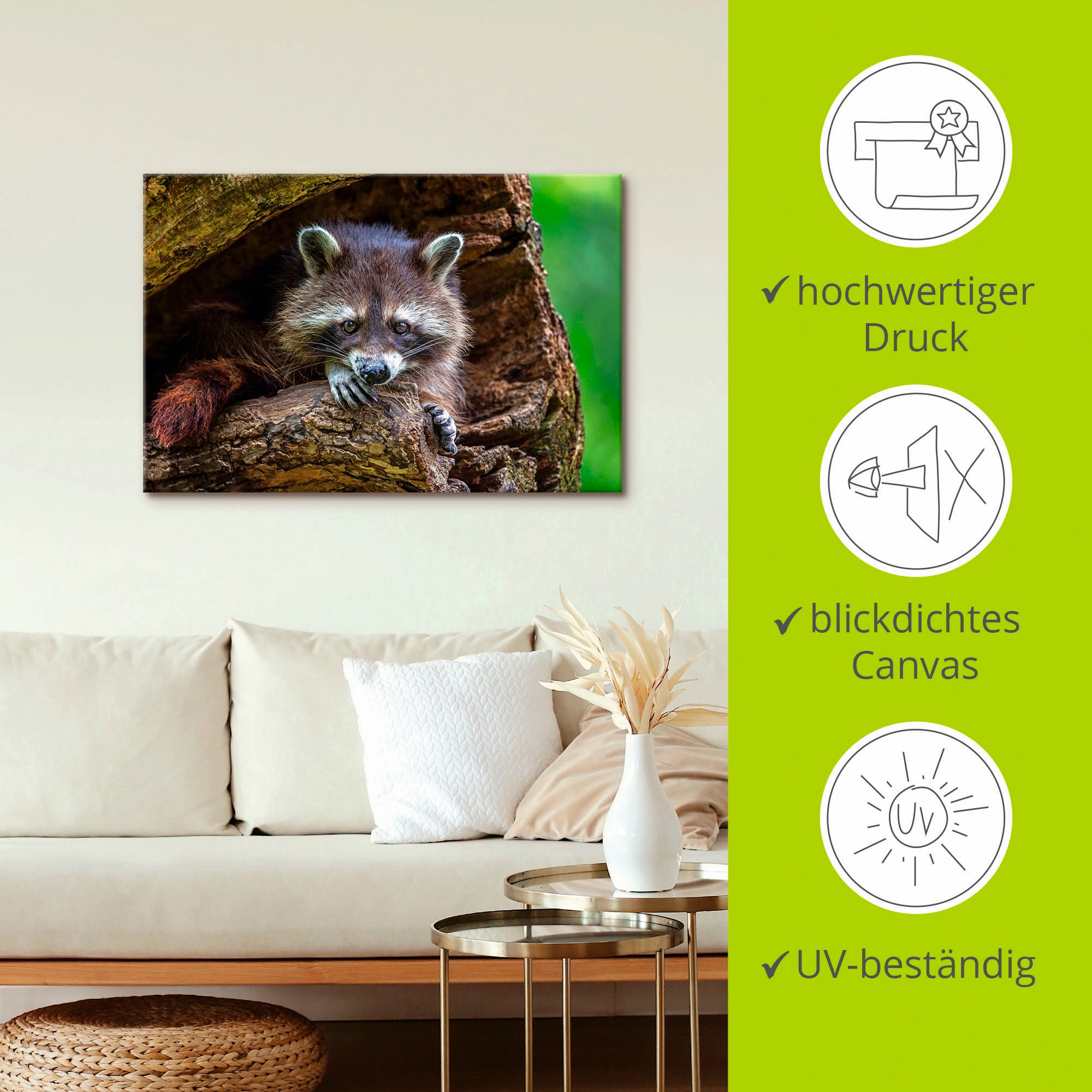 Artland Leinwandbild »Waschbär«, Wildtiere, (1 St.), auf Keilrahmen gespannt