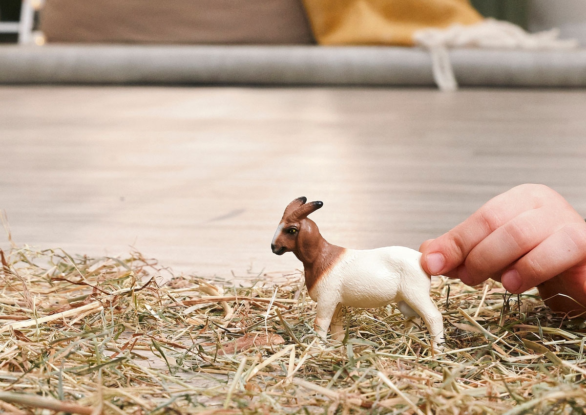 Schleich® Spielfigur »FARM WORLD, Burenziege (14929)«