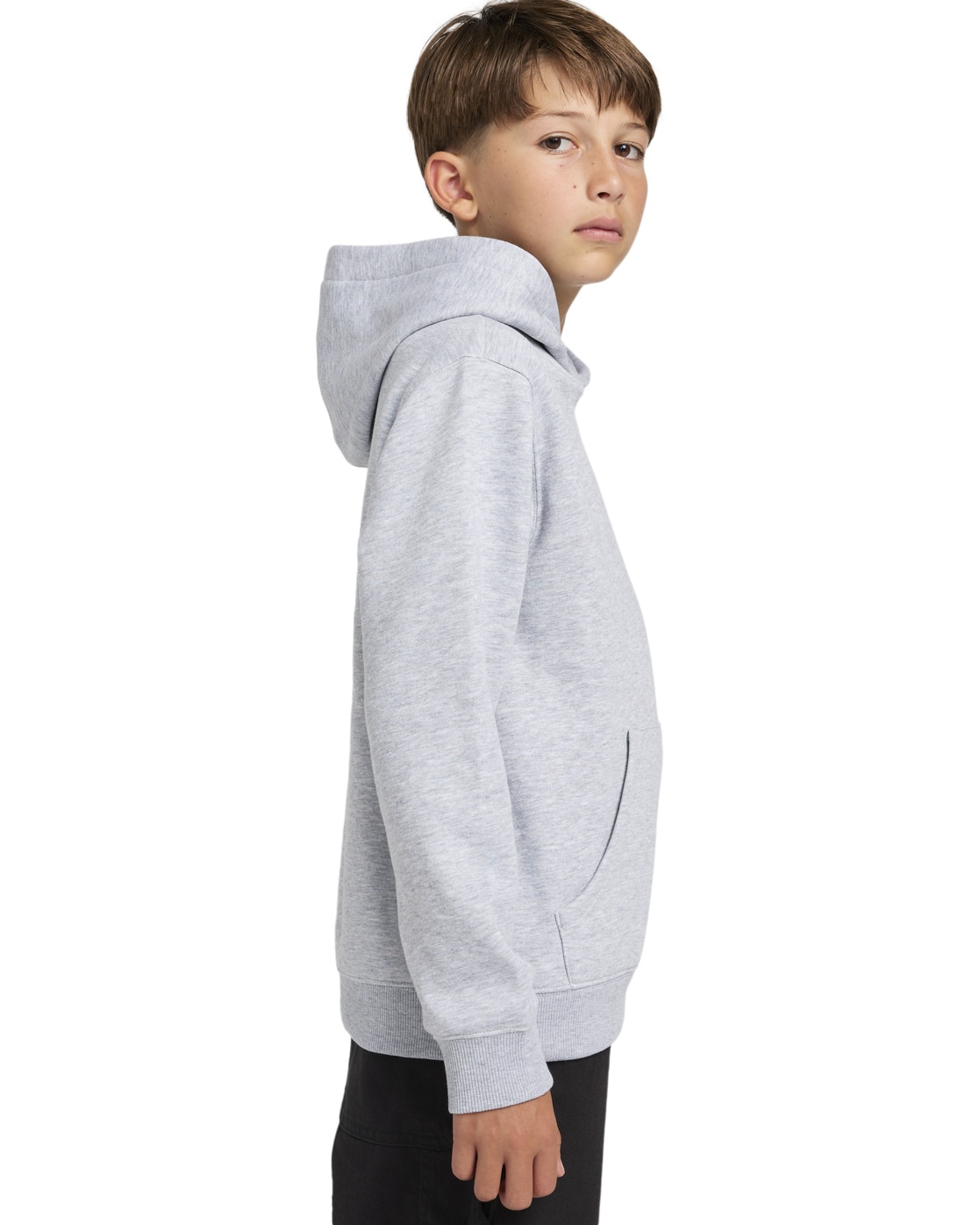 Element Hoodie »Cornell Classic«