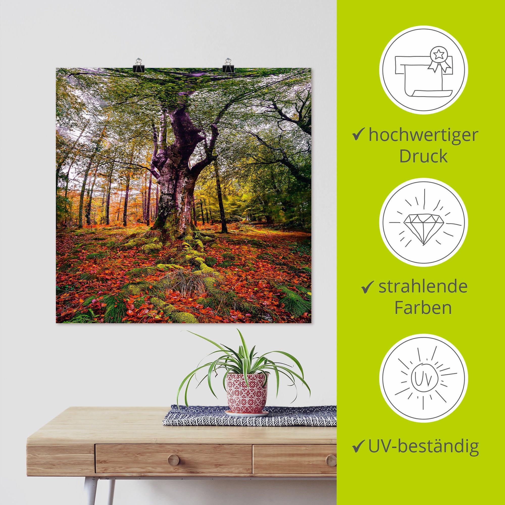 Artland Wandbild »Baum im Wandaufkleber in versch. Alubild, (1 bei Poster Größen als Wald«, oder Leinwandbild, OTTO Baumbilder, online St.)