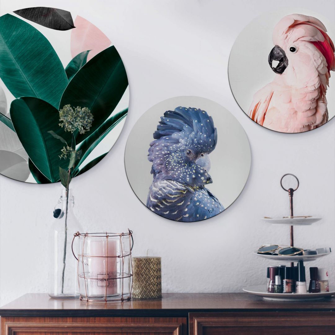 Wall-Art Mehrteilige Bilder »Vogel Set Kakadu Collage Rund«, (Set, 3 St.)  bei OTTO