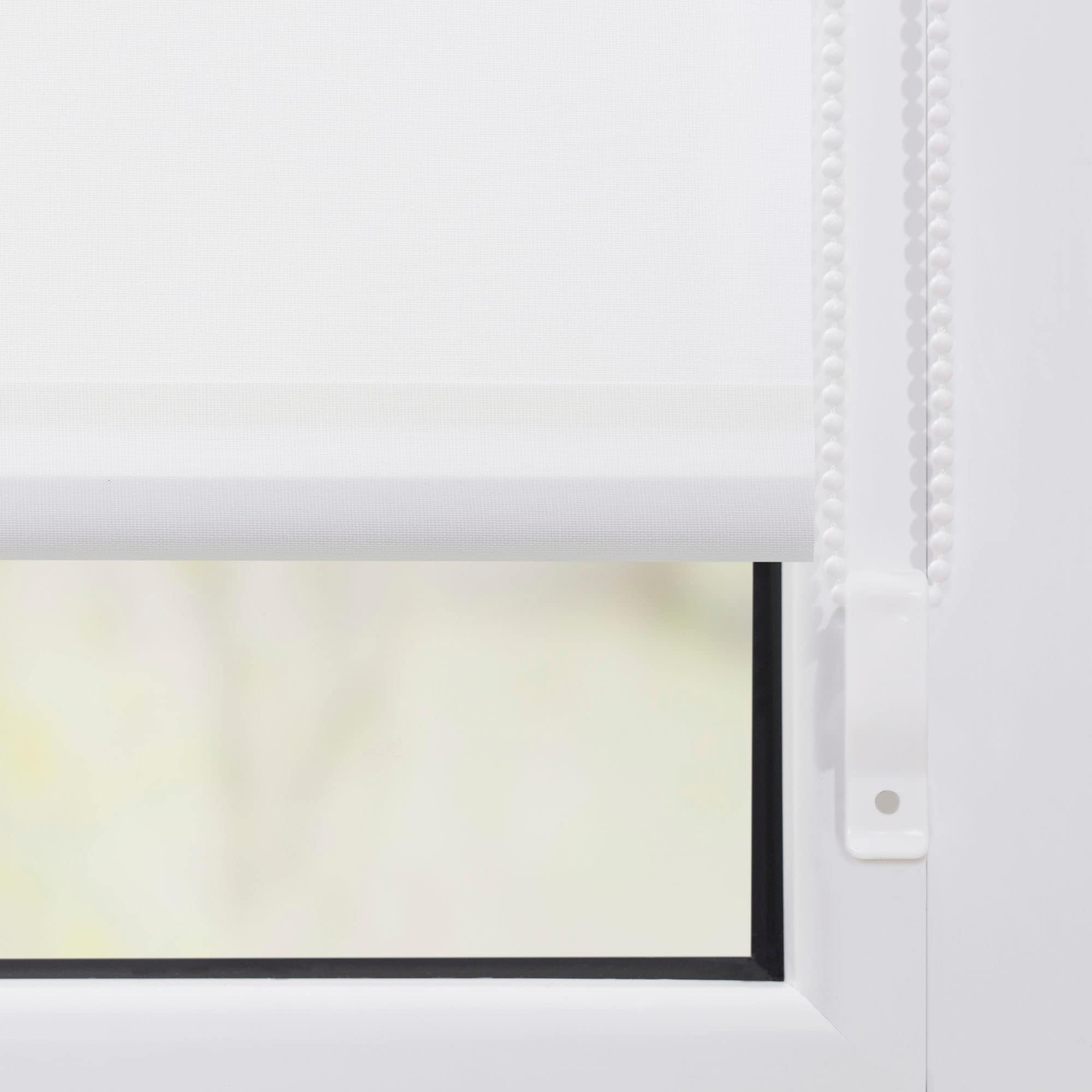 LICHTBLICK ORIGINAL Seitenzugrollo »Klemmfix Motiv Birken«, Lichtschutz, ohne Bohren, freihängend, bedruckt