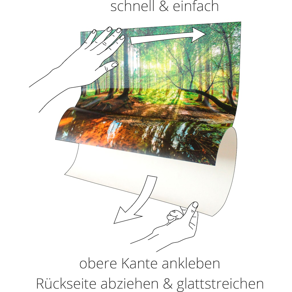 Artland Wandbild »Birkenwald«, Wald, (1 St.)