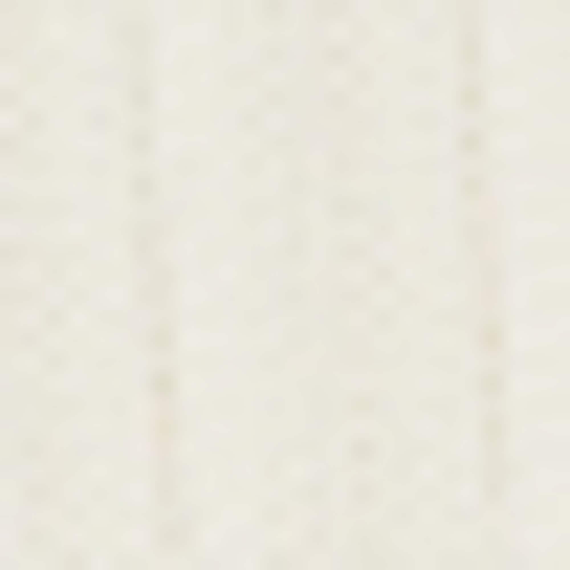 BOSS ORANGE Kurzarmpullover »Fice Premium Damenmode« mit Wellenstruktur, Slim Fit