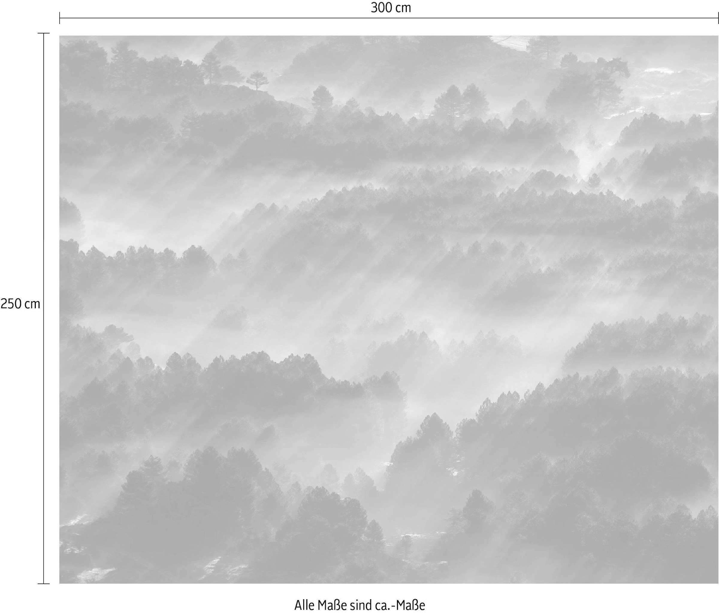 Komar Vliestapete »Digitaldruck Vlies - Rays - Größe 300 x 250 cm«, bedruckt, Wohnzimmer, Schlafzimmer