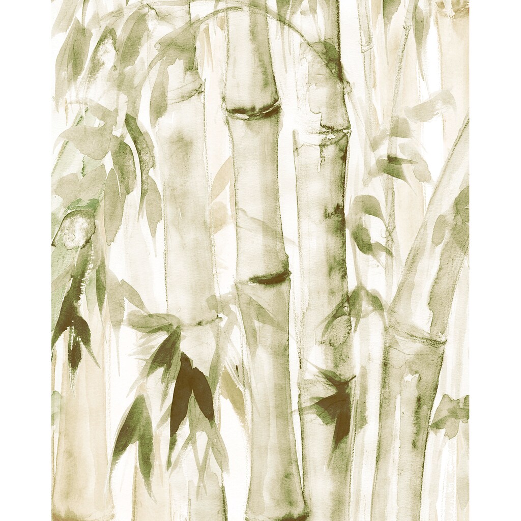 Komar Poster »Wild Bamboo«, (1 St.)