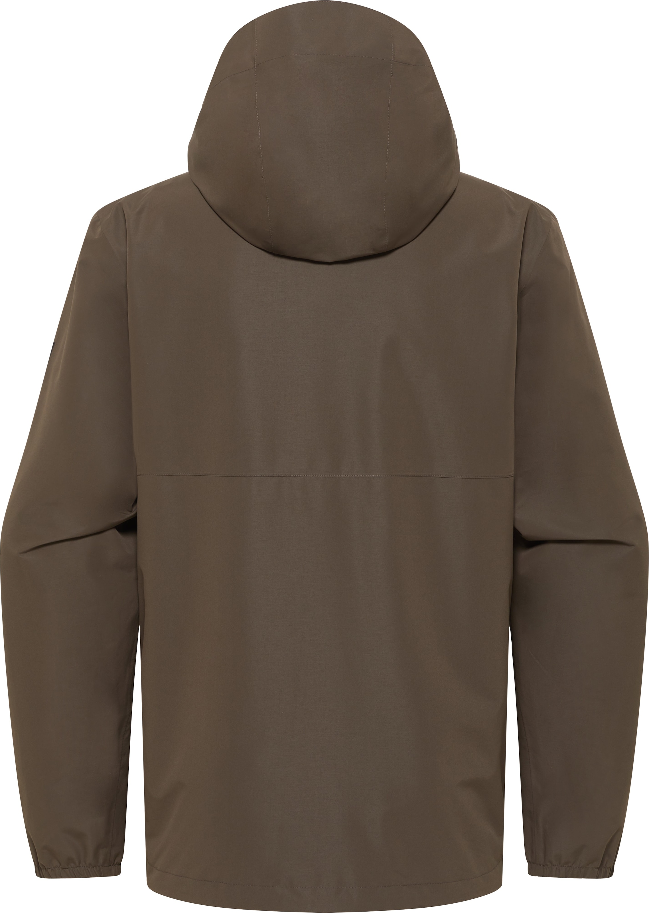 Jack Wolfskin Funktionsjacke »TERRAVIEW 2L JKT M«, mit Kapuze