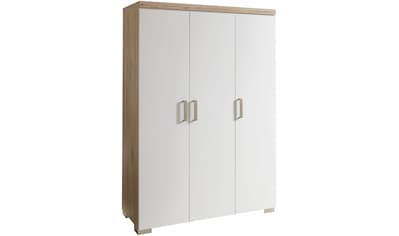 Kleiderschrank »HILJA 3T«