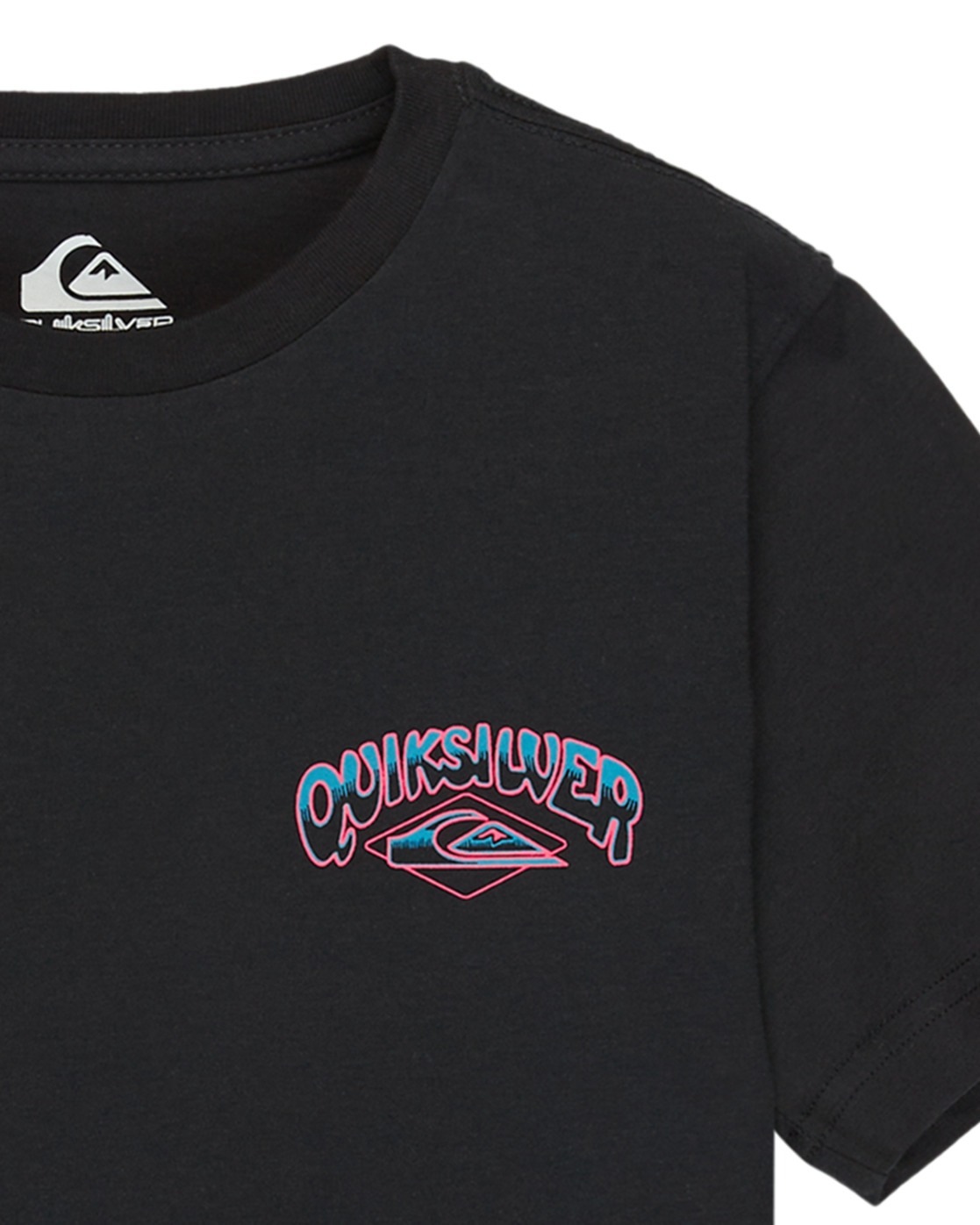 Quiksilver T-Shirt »Palm Horizon«