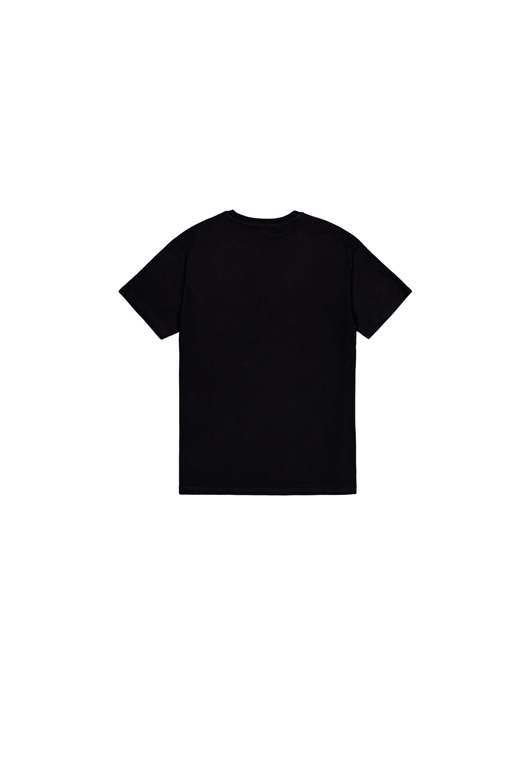 Alpha Industries T-Shirt »Grunge Logo T-Shirt«