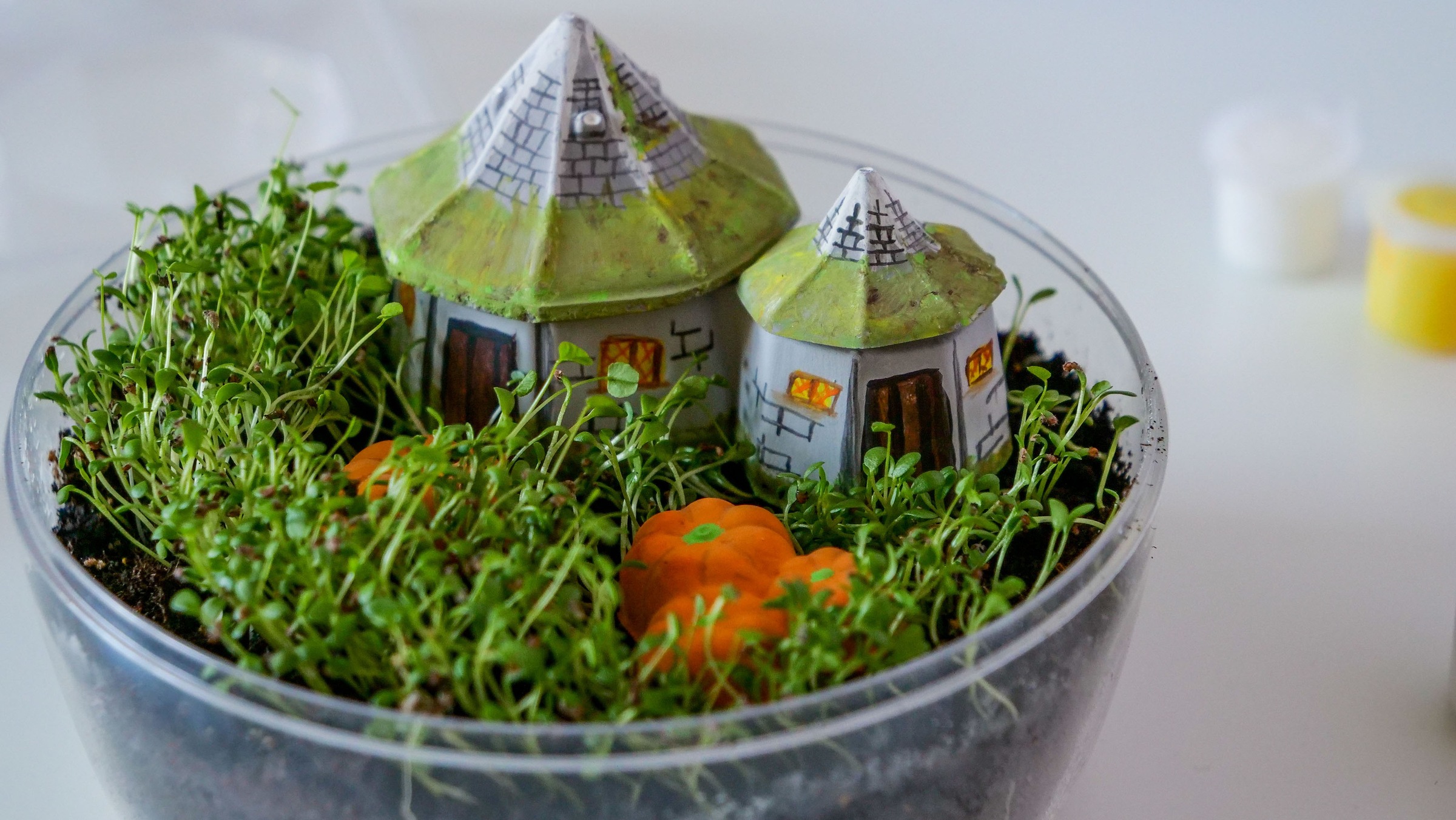 Clementoni® Experimentierkasten »Harry Potter, Terrarium«, Made in Europe