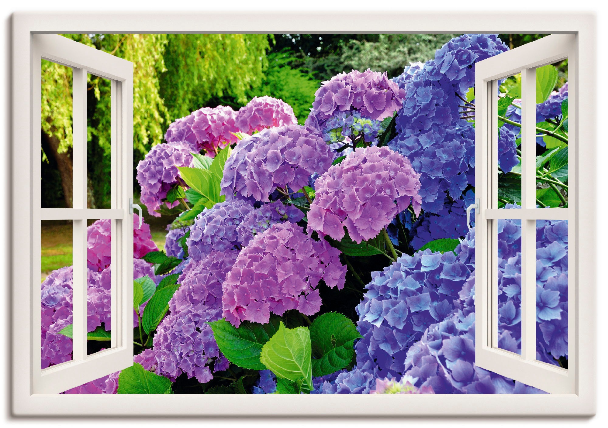 Artland Wandbild »Fensterblick Hortensien im Garten«, Blumen, (1 St.), als  Alubild, Leinwandbild, Wandaufkleber oder Poster in versch. Größen bei OTTO