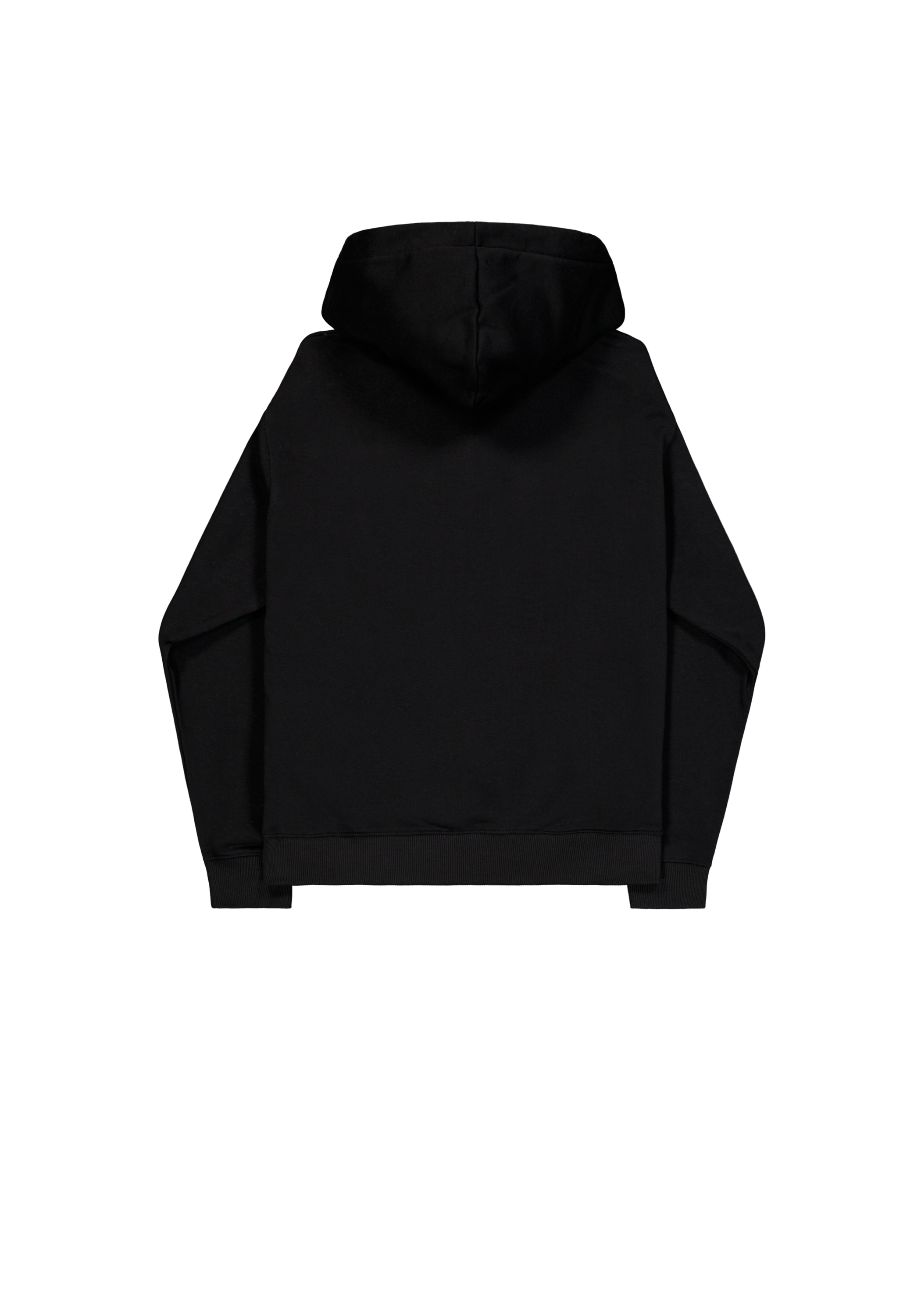 Alpha Industries Hoodie »DTM Alpha Hoodie«
