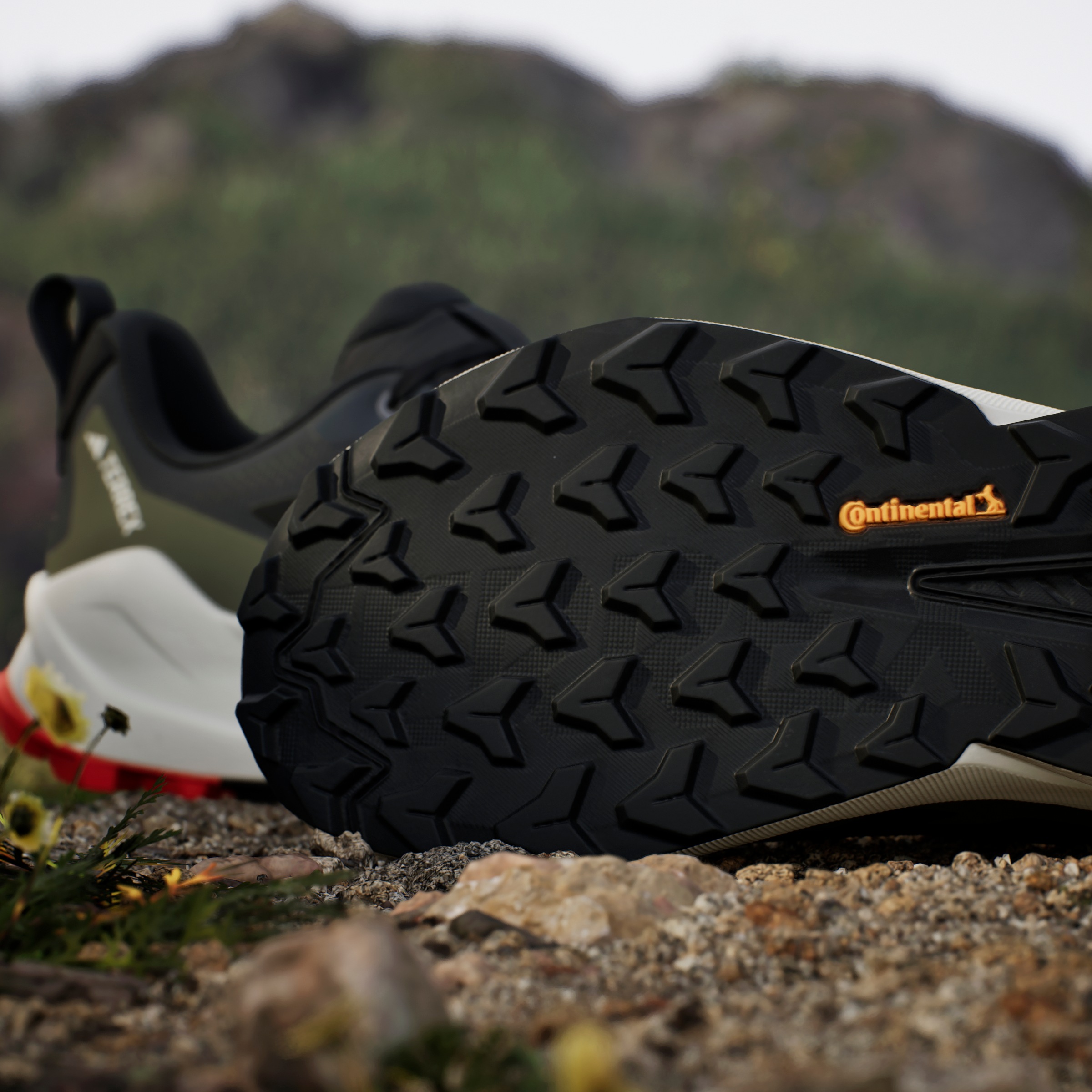 adidas TERREX Wanderschuh »TERREX TRAILMAKER 2 GORE-TEX«