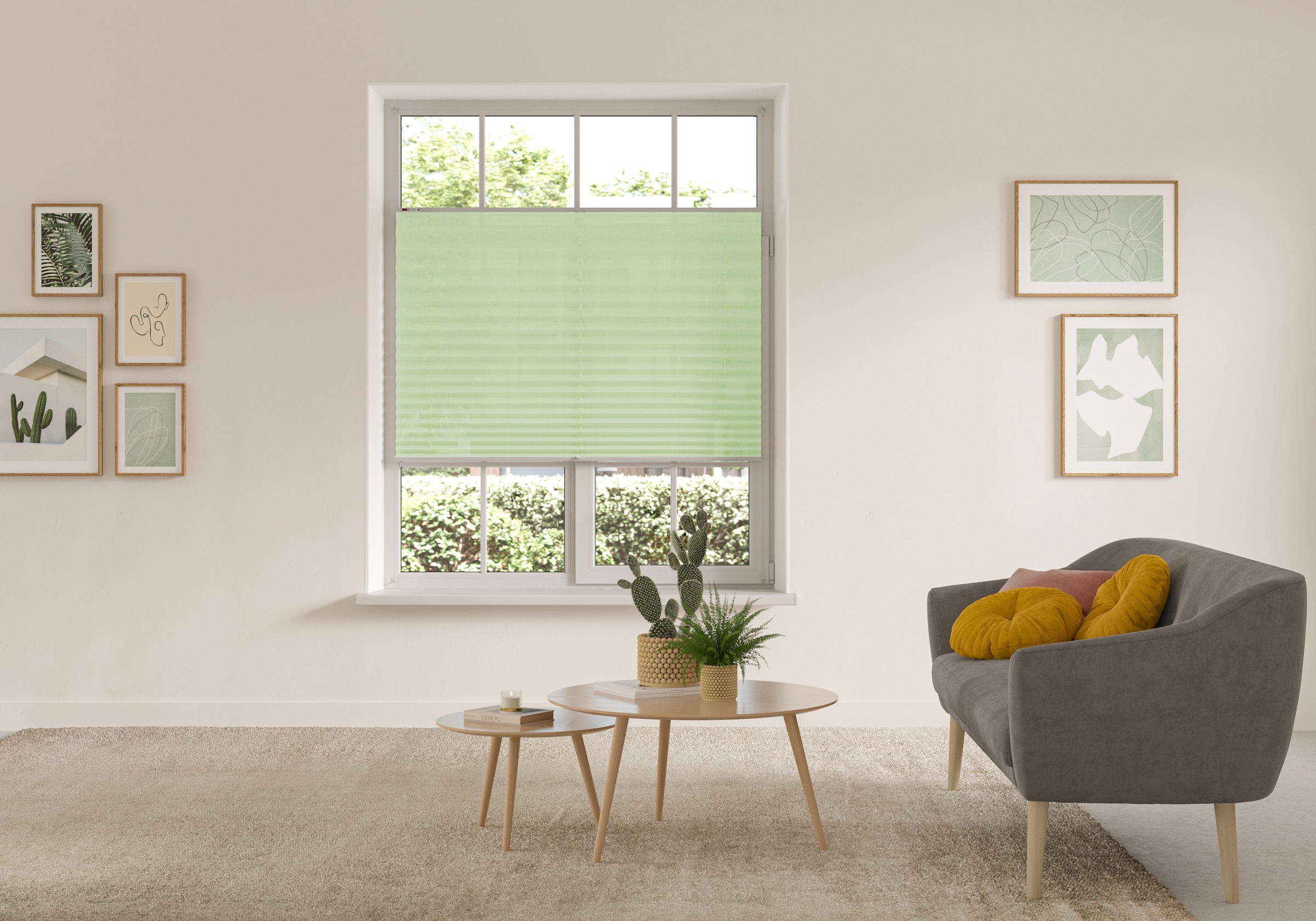 my home Plissee »DAHRA - in Crush-Optik« Lichtschutz ohne Bohren verspannt Fixmaß, Bestseller mit über 5500 4,5-Sterne-Bewertungen, Klemmträger