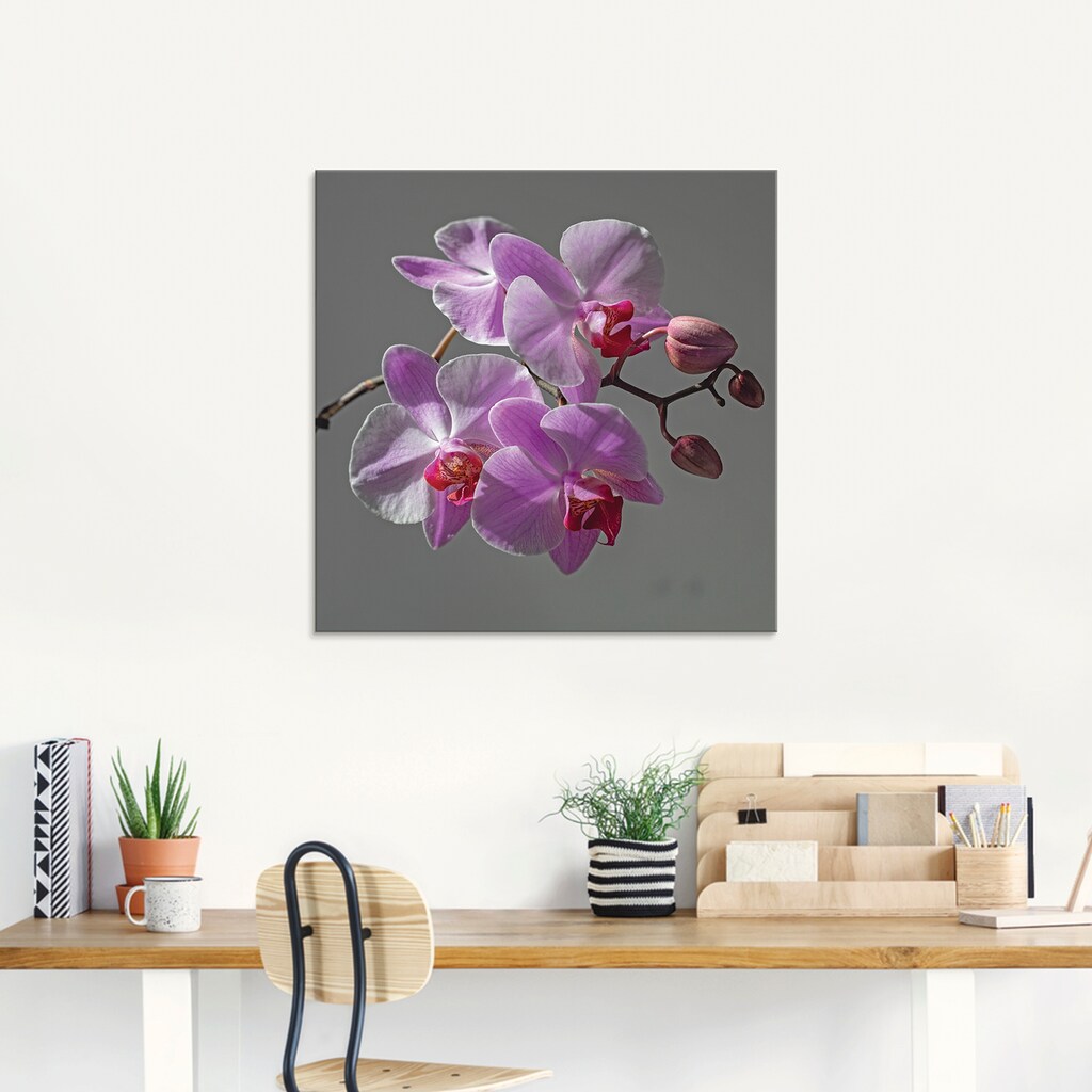 Artland Glasbild »Orchideentraum«, Blumen, (1 St.), in verschiedenen Größen