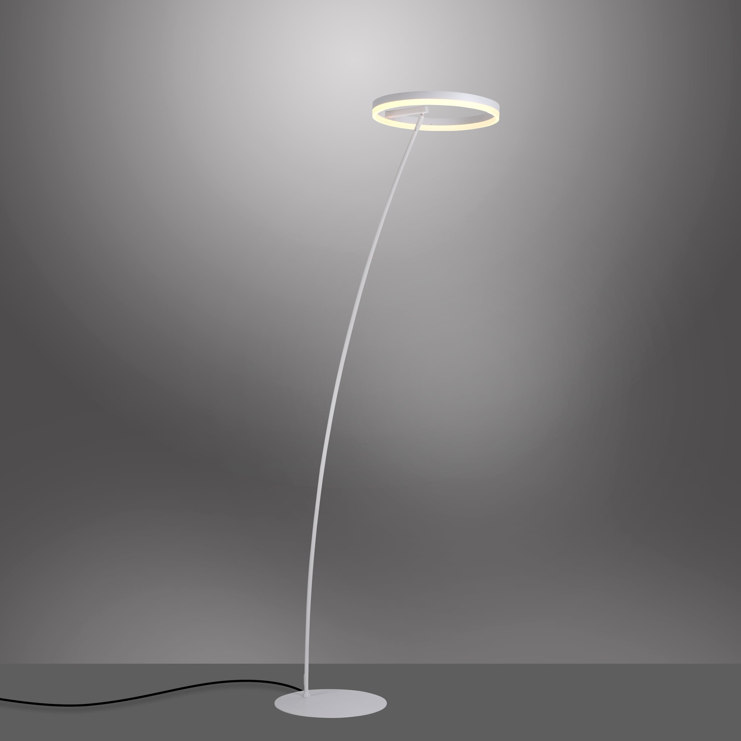 Paul Neuhaus Stehlampe »TITUS«