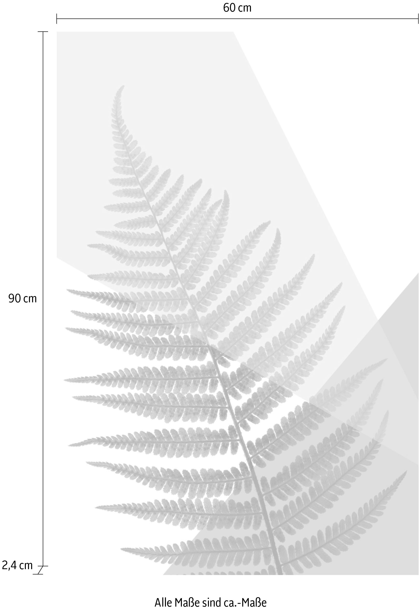 queence Acrylglasbild »Blätter« Blätter | Blätterbilder | Kunst | Pflanzen | Pflanzenbilder Fine Art-Print in Galeriequalität