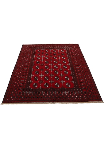 Orientteppich »Afghan Akhche Bokhara«, rechteckig, reine Schurwolle für ein warmes...