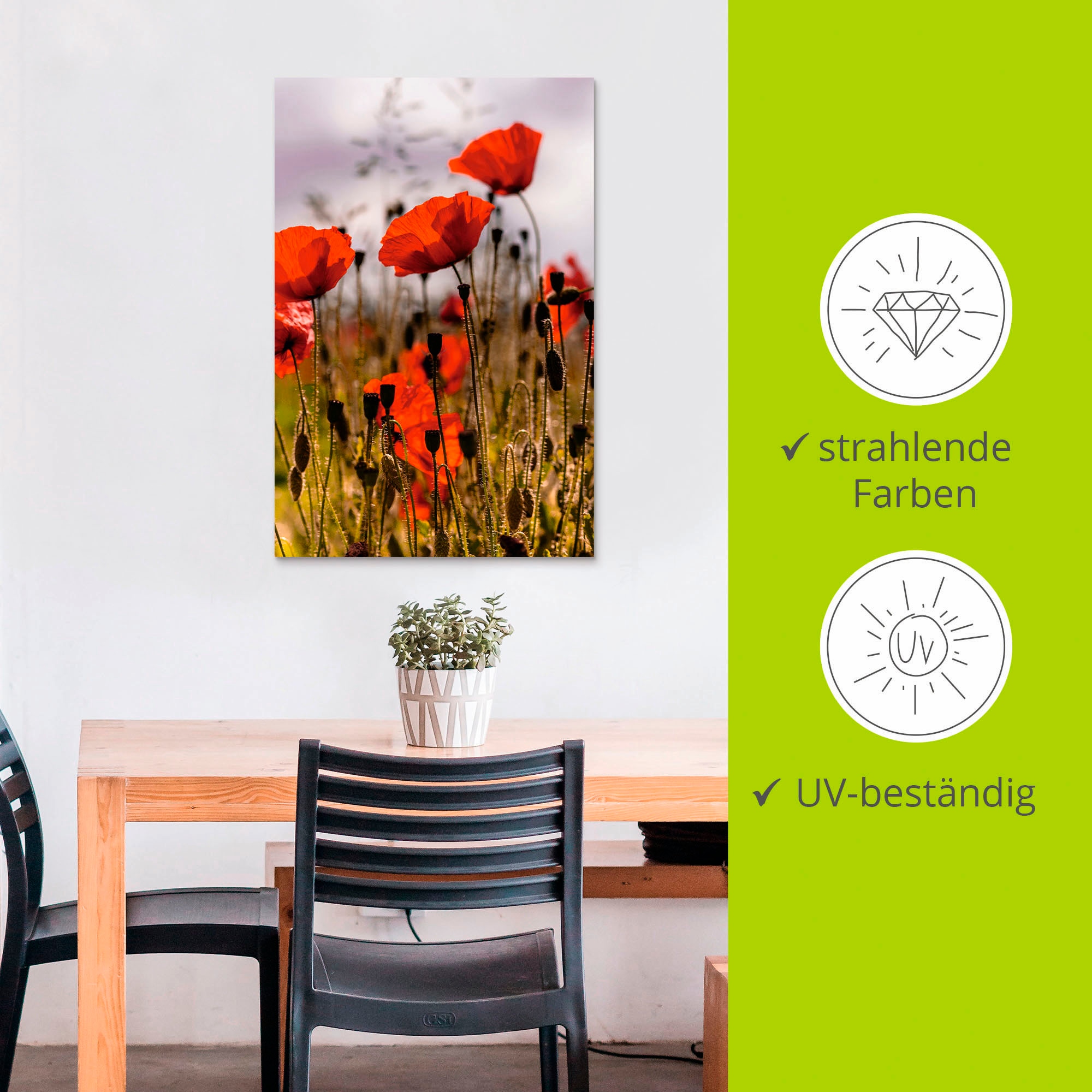 Artland Wandbild »Mohnblumen im Morgenlicht«, Blumenwiese, (1 St.), als Alubild, Outdoorbild, Leinwandbild, Poster in verschied. Größen