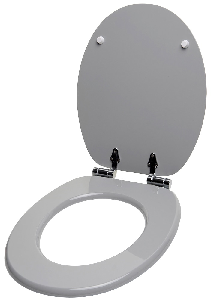 Sanilo WC-Sitz »Basic«, mit Absenkautomatik
