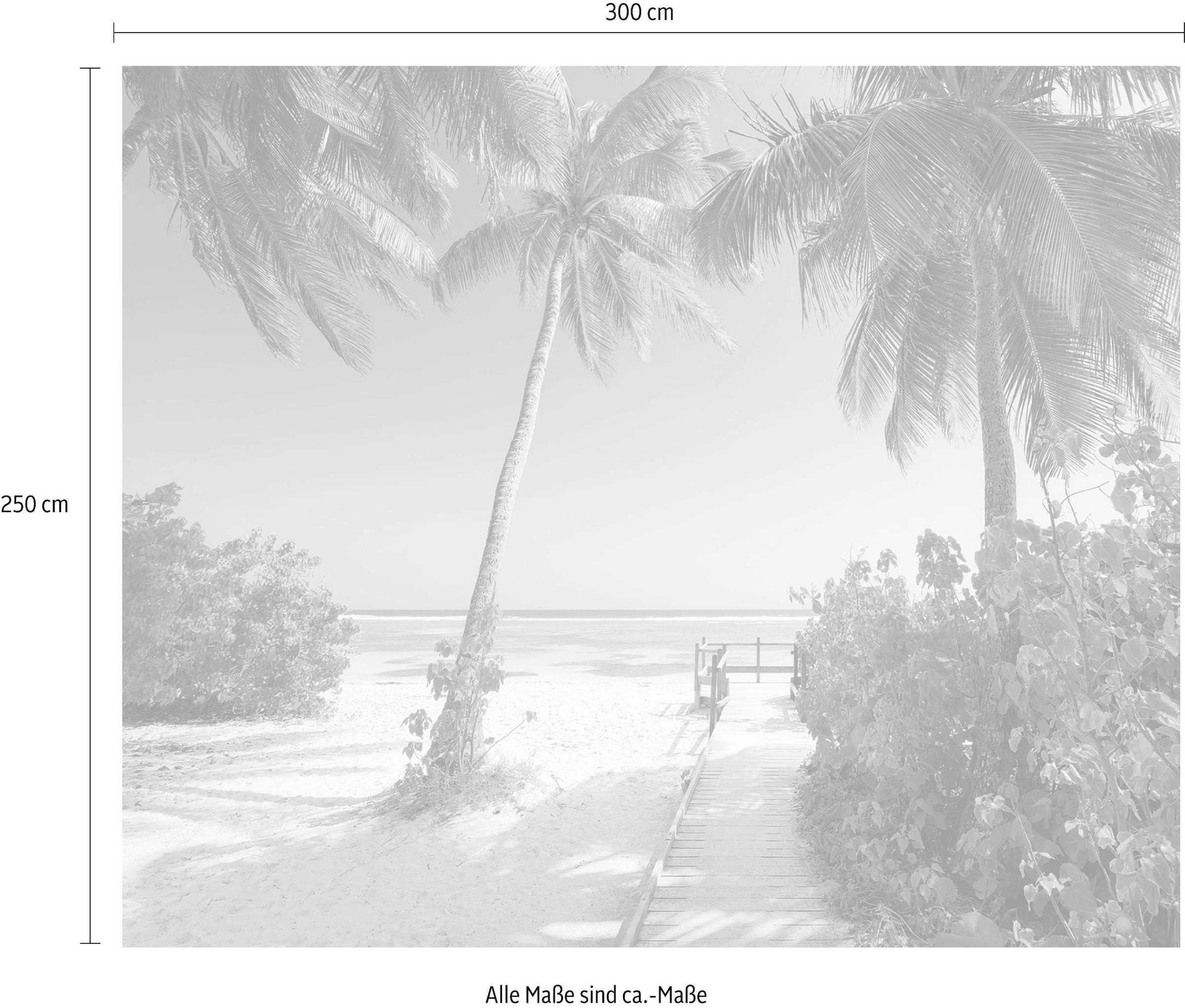 Komar Vliestapete »Digitaldruck Vlies - Palmy Beach - Größe 300 x 250 cm«, bedruckt, Wohnzimmer, Schlafzimmer