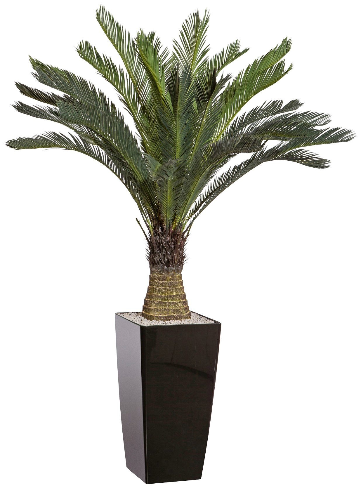 Creativ green Kunstpalme »Cycaspalme«, (1 St.), im Kunststofftopf