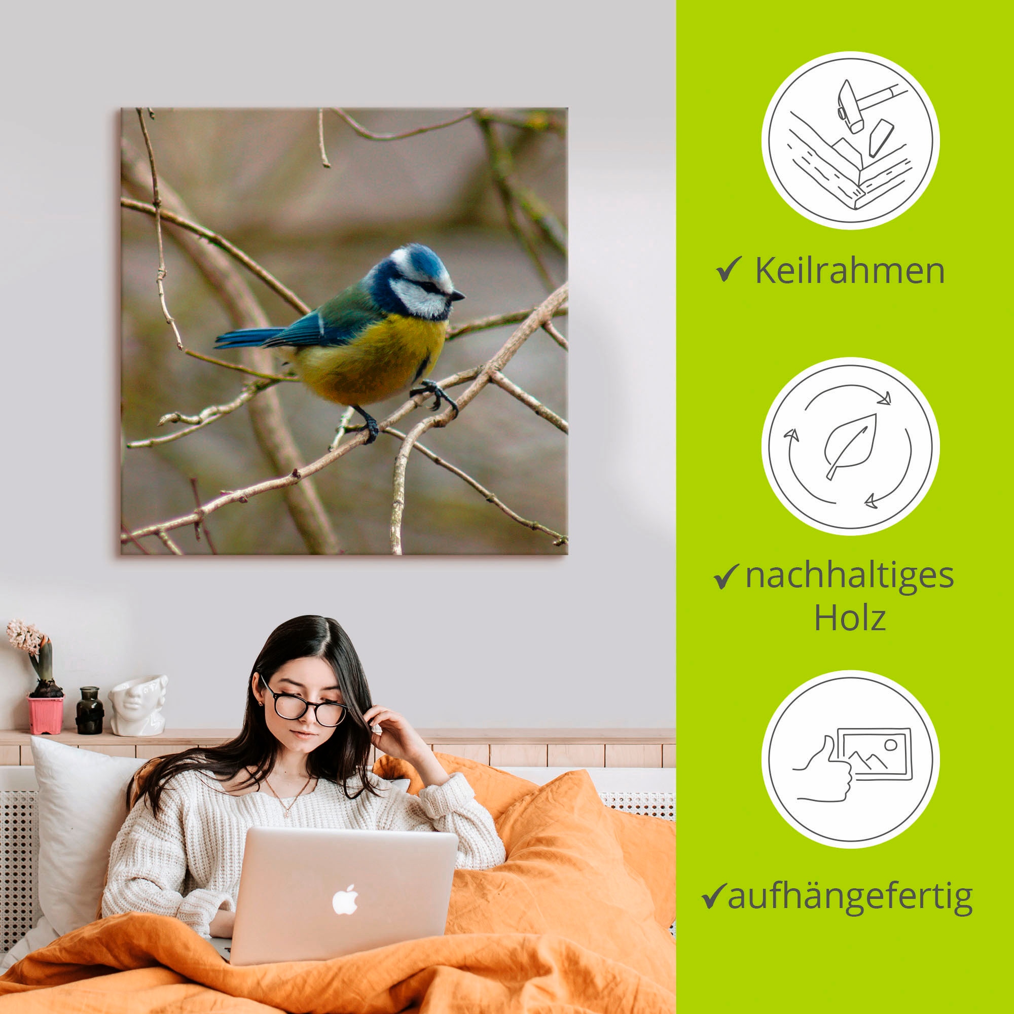 Artland Leinwandbild »Blaumeise« Vögel 1 Stk. tlg. auf Holzrahmen gespannt