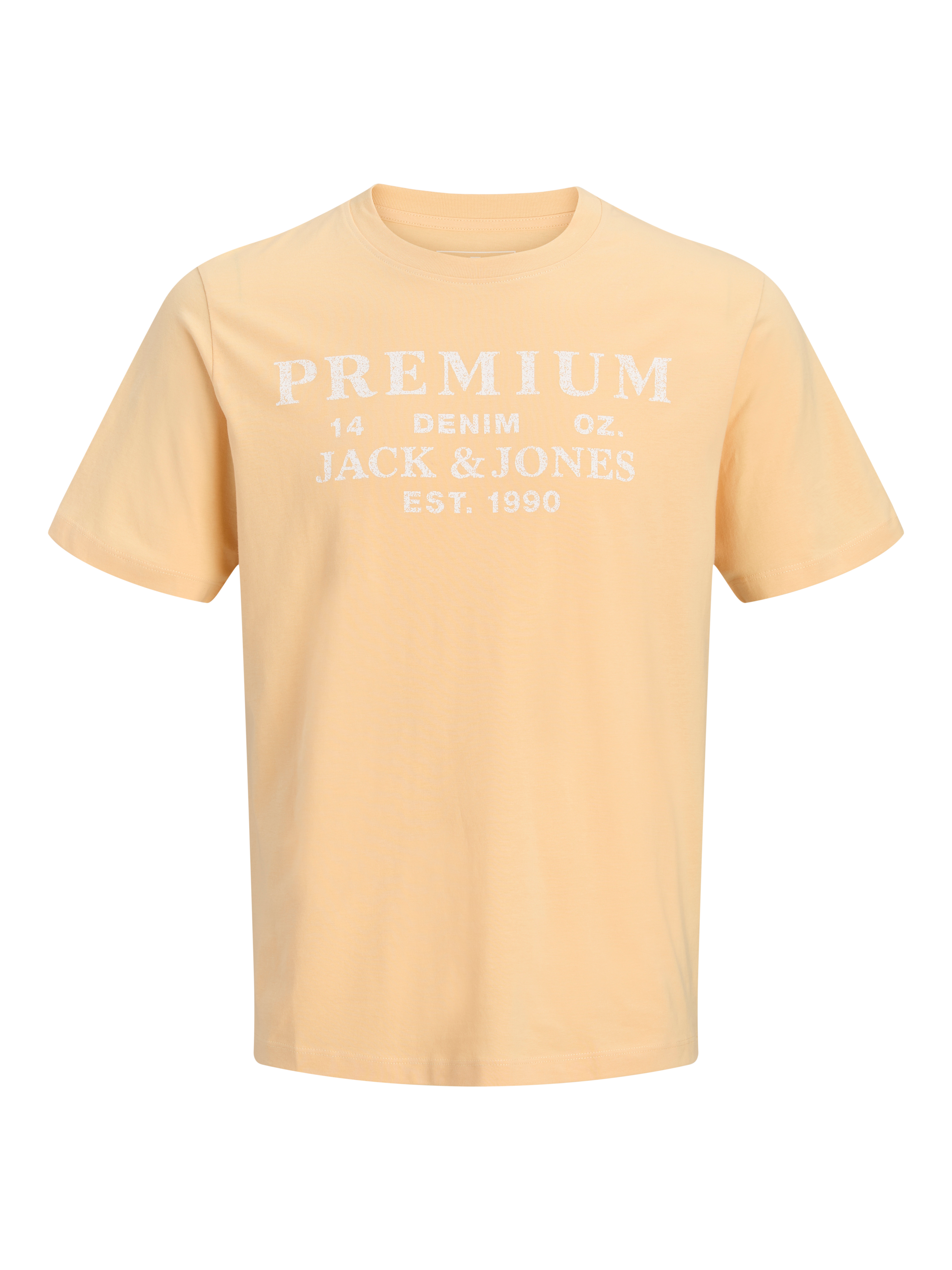 Jack & Jones T-Shirt »JPRBLUCALVIN SS TEE FST«