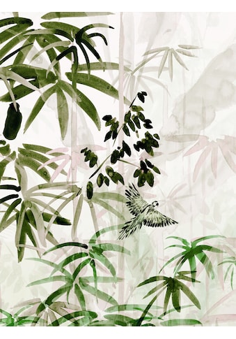 Komar Poster »Bamboo Forest«, (1 St.) kaufen