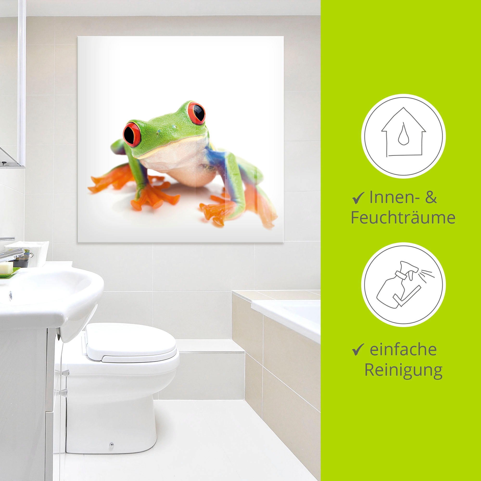 Artland Glasbild »Großaufnahme eines Frosches vor weiß« Wassertiere 1 Stk. tlg. in verschiedenen Größen