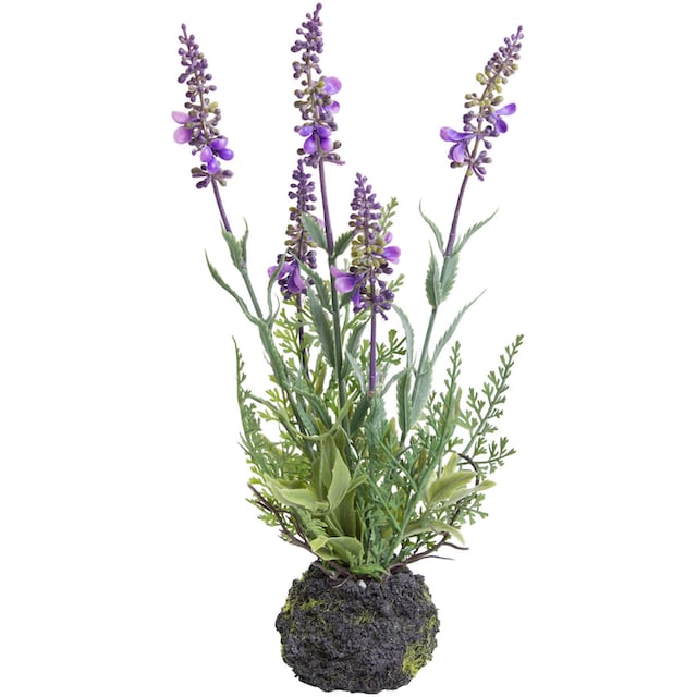 Botanic-Haus Künstliche Zimmerpflanze »Lavendel«, (Set, 2 St.) kaufen im  OTTO Online Shop