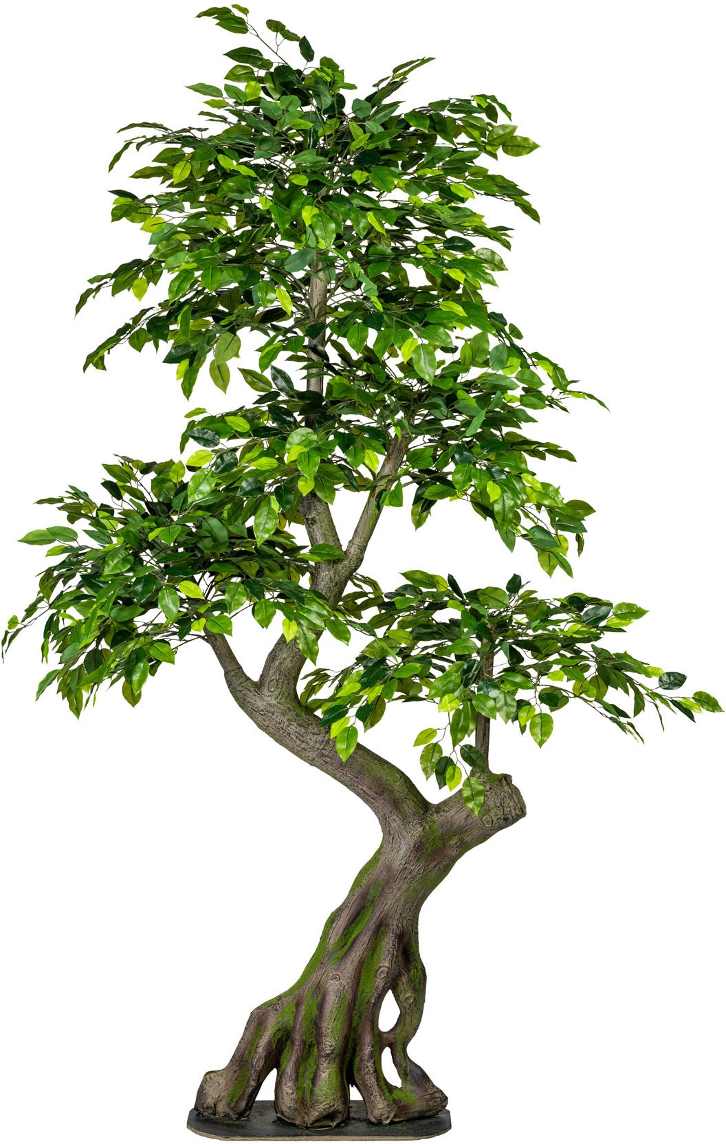 Creativ Green Kunstbaum »Ficus Benjamini« in grün, Größe B/H/L: 80 cm x 170 cm