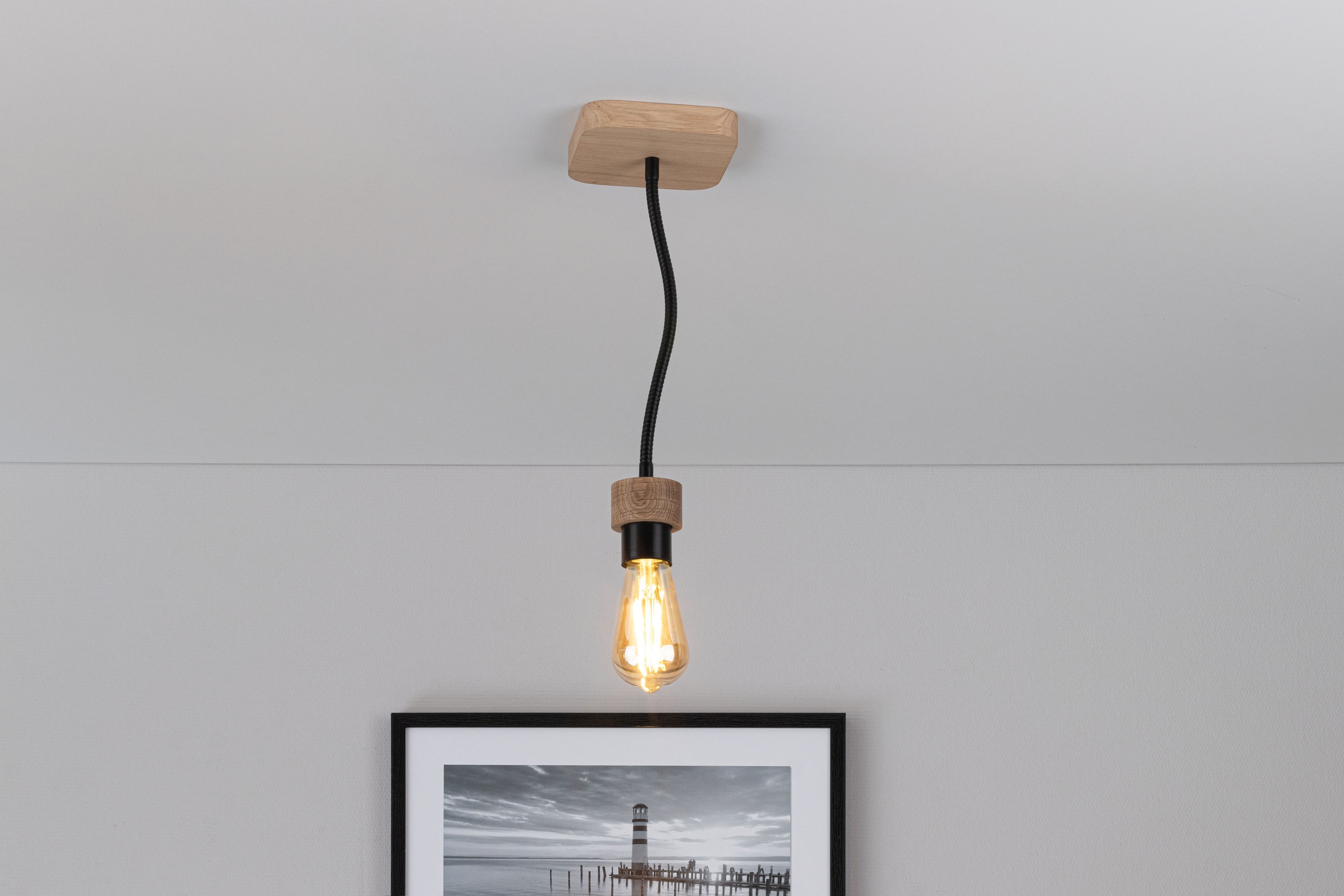 BRITOP LIGHTING Deckenleuchte »ALLUMER FLEX«, 1 flammig, Leuchtmittel E27 | Leuchtmittel wechselbar-ohne Leuchtmittel, Basis aus Eichenholz mit FSC®-Zertifikat, flexibel verstellbar